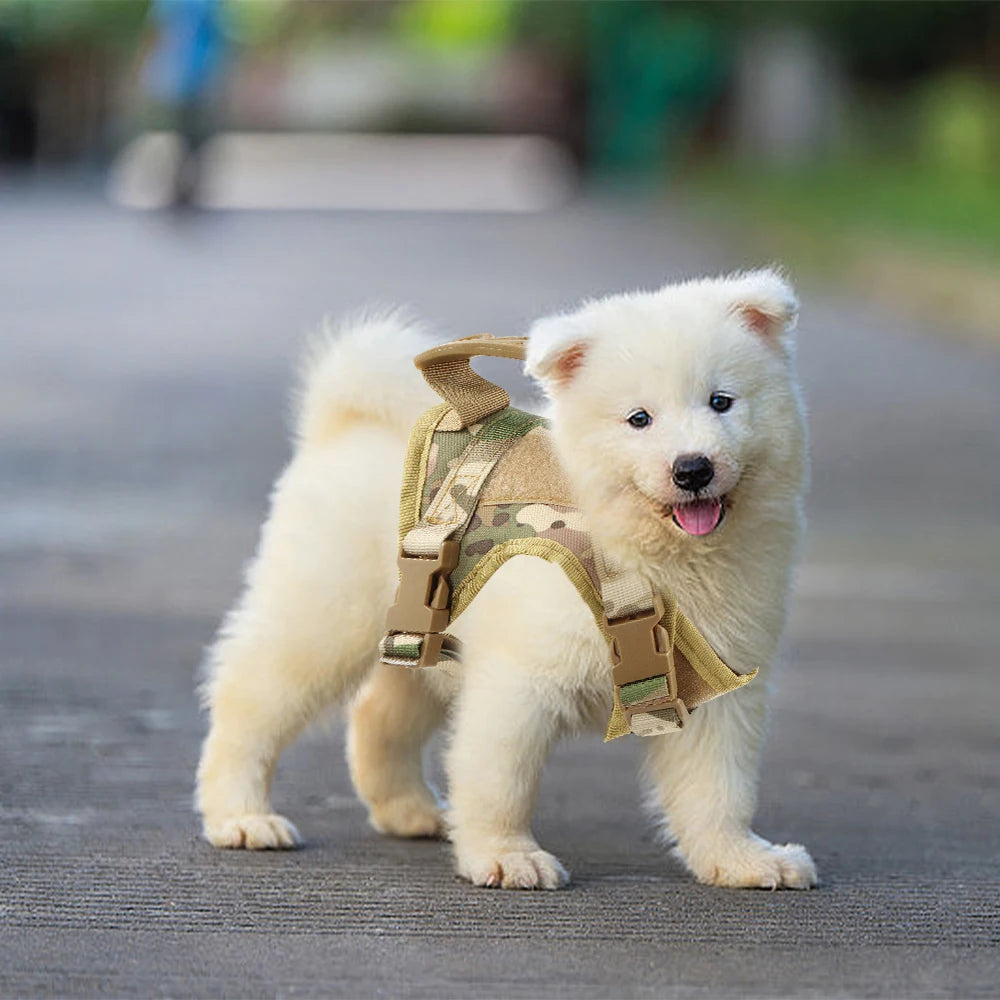 Tactical Cat Harness Leash Adjustable Puppy Vest For Military Small Dogs Harnesses 9Pcs Patches Walking Training Cat Accessories