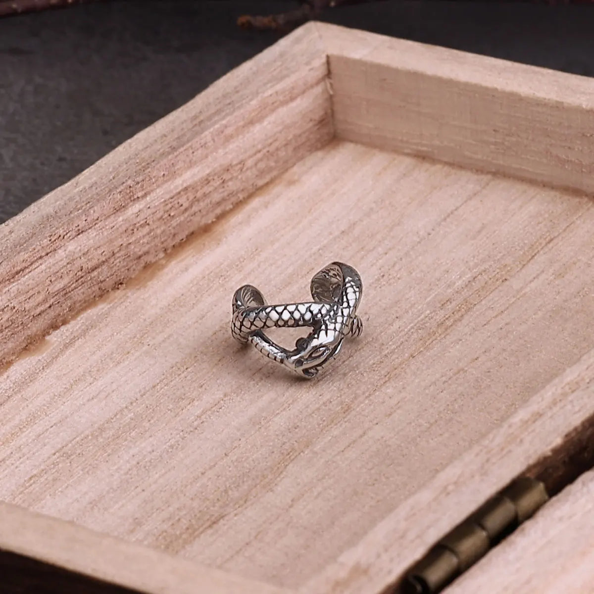 Stainless Steel Snake Winding Clip Earring Jewelry for Women Punk Hip Hop No Piercing Ear Cuff Jewelry Wedding Party Earring