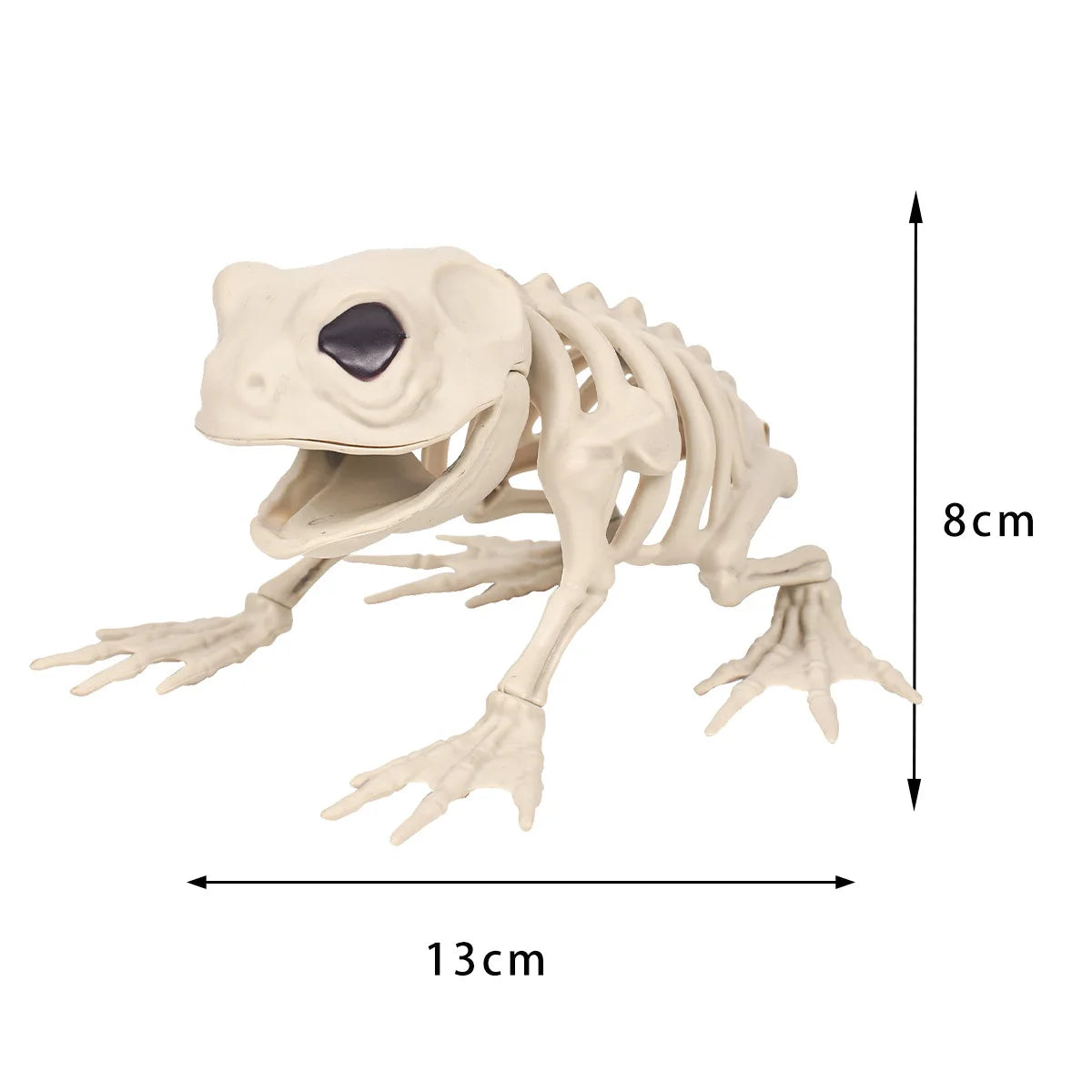 Halloween Skeleton Decoration Props Simulated Animal Models Skeleton Wolf FrogCrow Skeleton Indoor Outdoor Garden HalloweenDecor