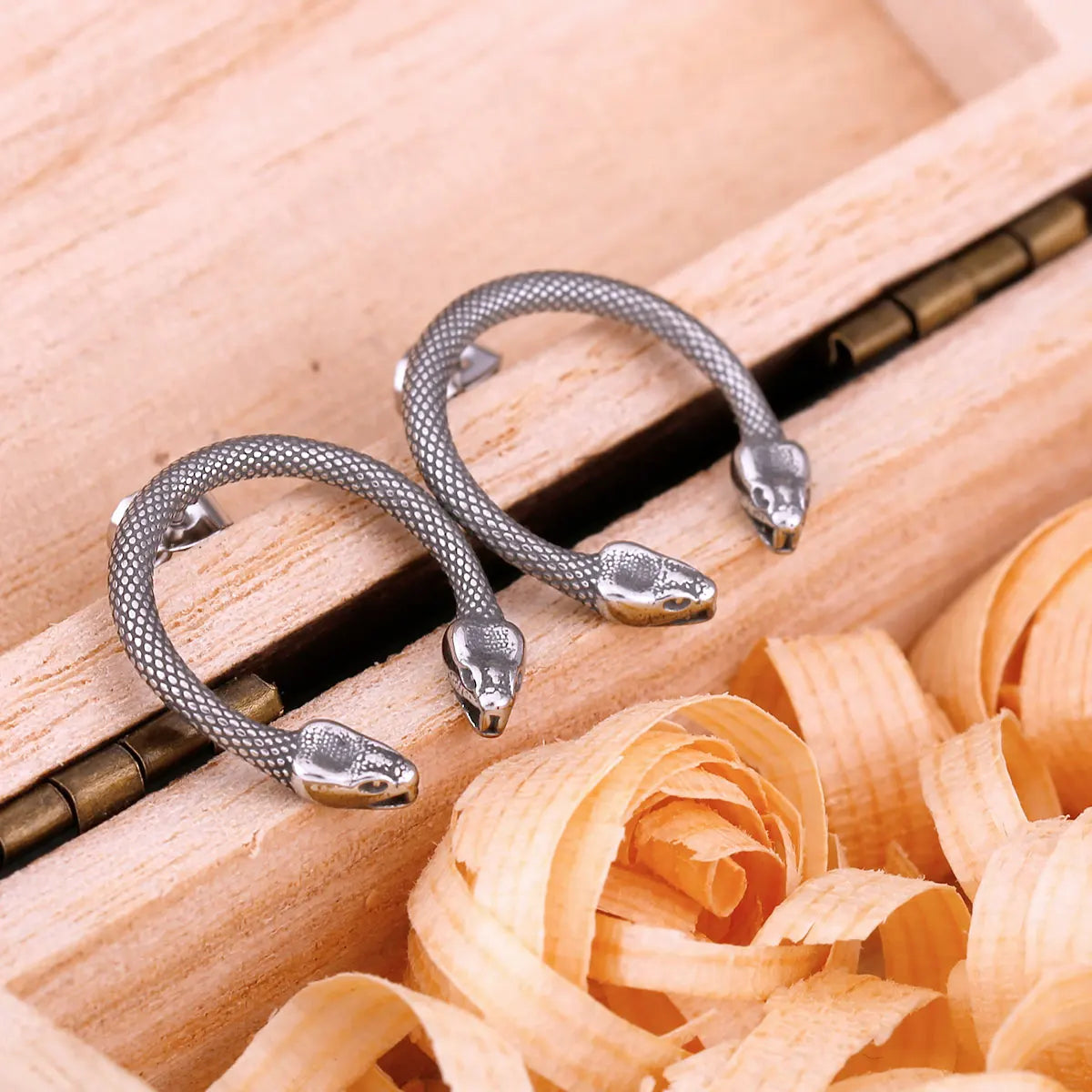 New Design Double Headed Snake Stainless Steel Stud Earrings Original Design Viking Men Women Punk Earrings Jewelry Accessories