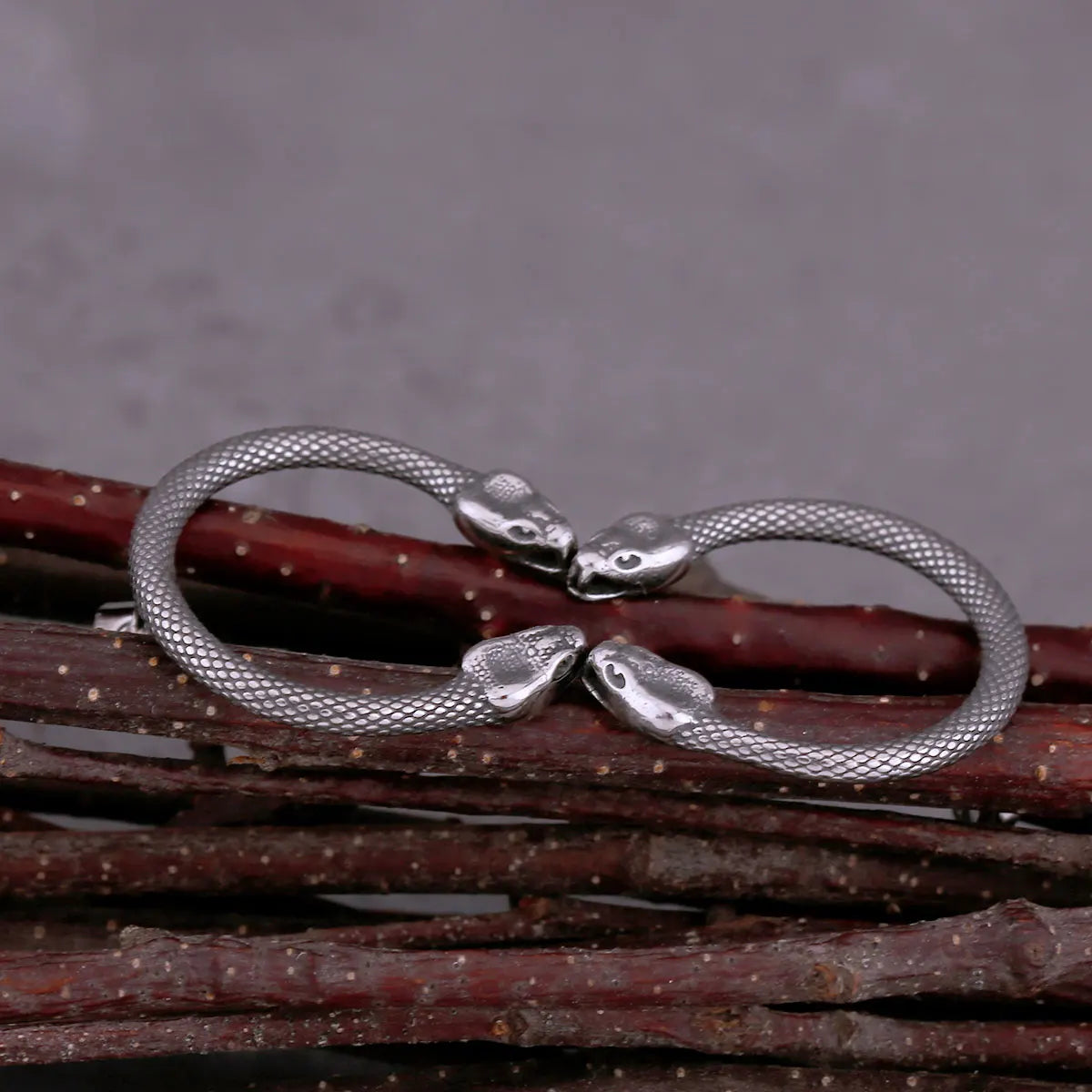 New Design Double Headed Snake Stainless Steel Stud Earrings Original Design Viking Men Women Punk Earrings Jewelry Accessories