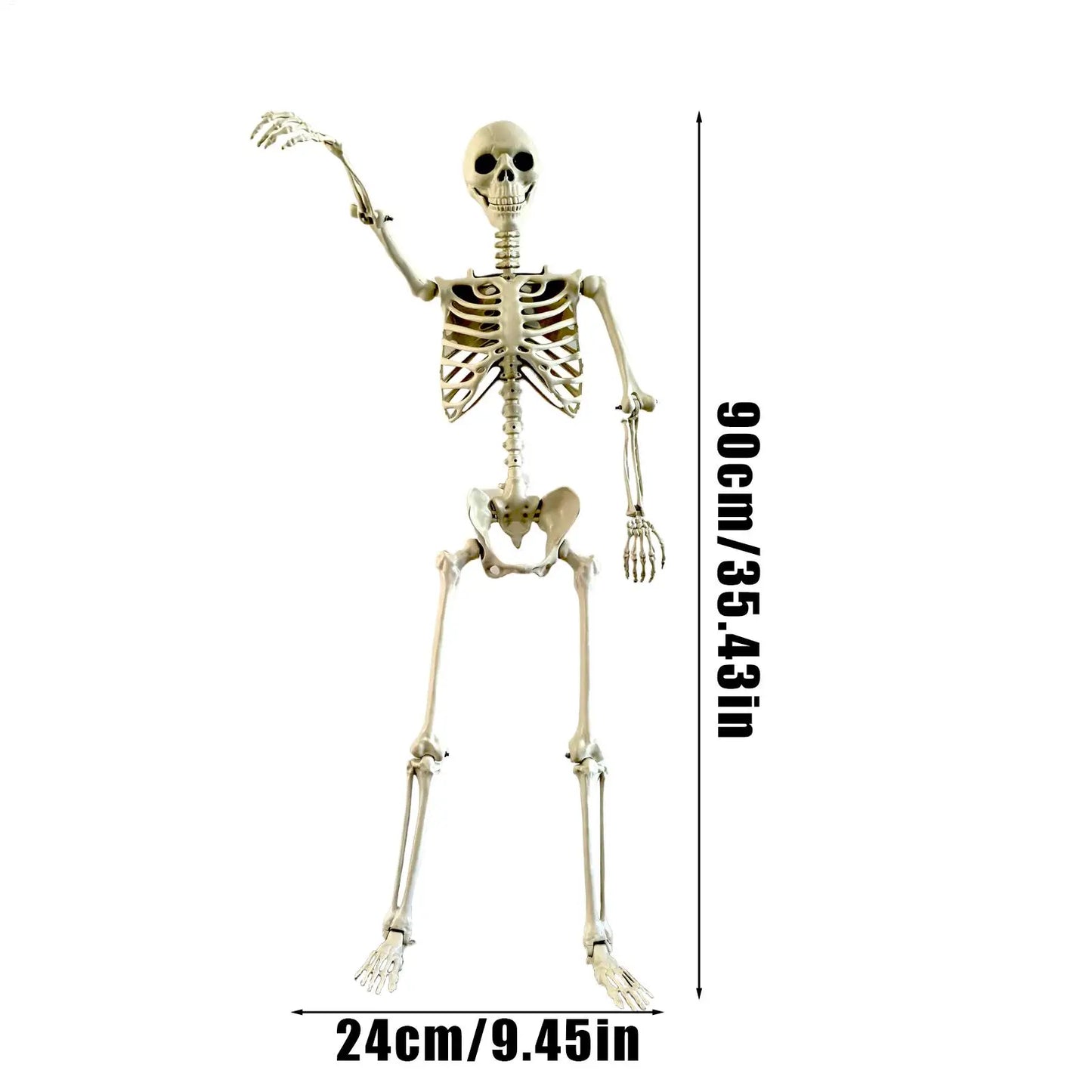 Halloween Skeleton Realistic Posable Skeleton with Movable Joints Weather-Resistant Outdoor Decorations Spooky Photo Props Party