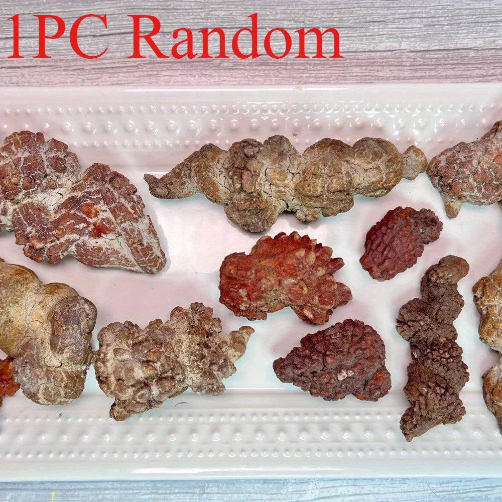 1PC rDinosaur Shit Stone Pet House Decoration, suitable for home and office decoration, a perfect gift for Halloween