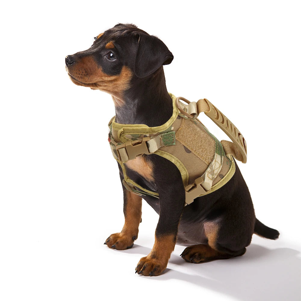 Tactical Cat Harness Leash Adjustable Puppy Vest For Military Small Dogs Harnesses 9Pcs Patches Walking Training Cat Accessories