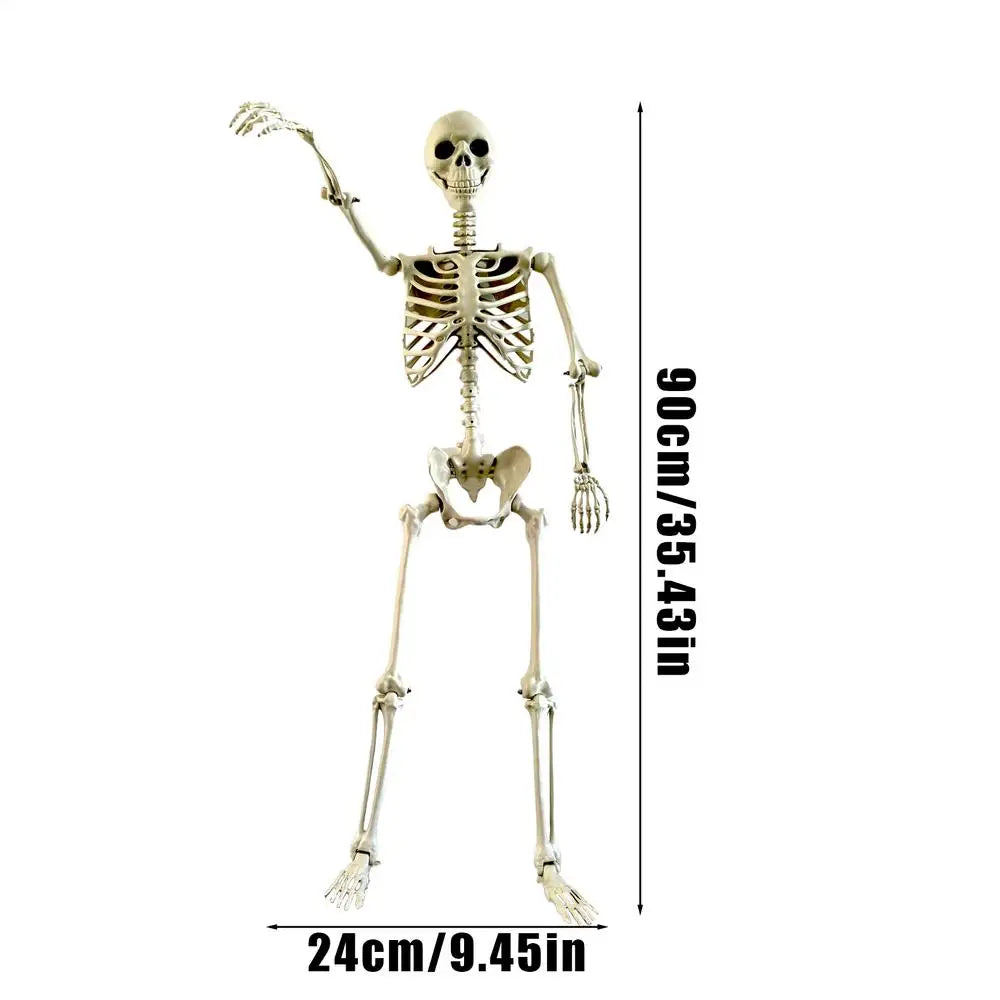 Halloween Skeleton Realistic Posable Skeleton with Movable Joints Weather-Resistant Outdoor Decorations Spooky Photo Props Party