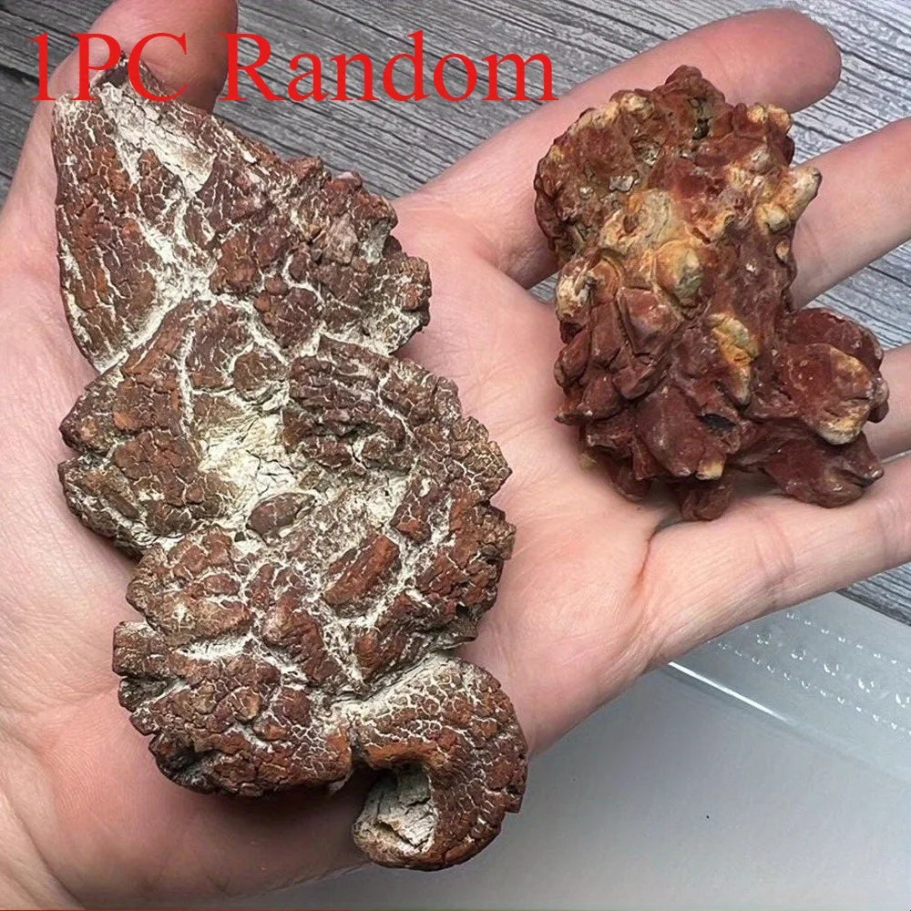 1PC rDinosaur Shit Stone Pet House Decoration, suitable for home and office decoration, a perfect gift for Halloween