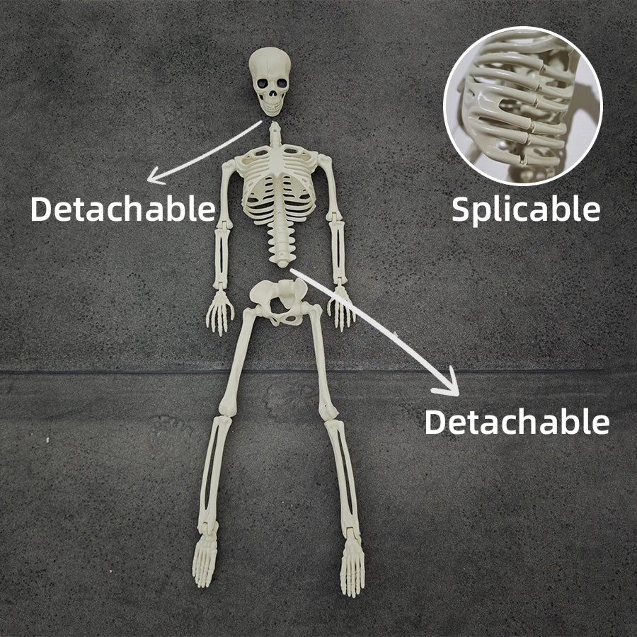 40cm/90cm Home Evil Party Decoration Horror Scary Movable Big Skull Halloween Movable Skeleton Halloween Ornament Toys