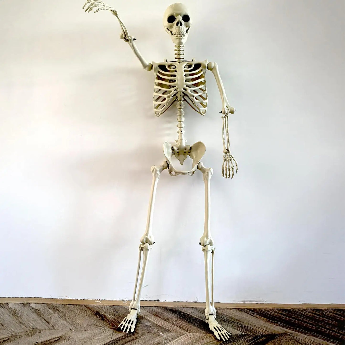 Halloween Skeleton Realistic Posable Skeleton with Movable Joints Weather-Resistant Outdoor Decorations Spooky Photo Props Party