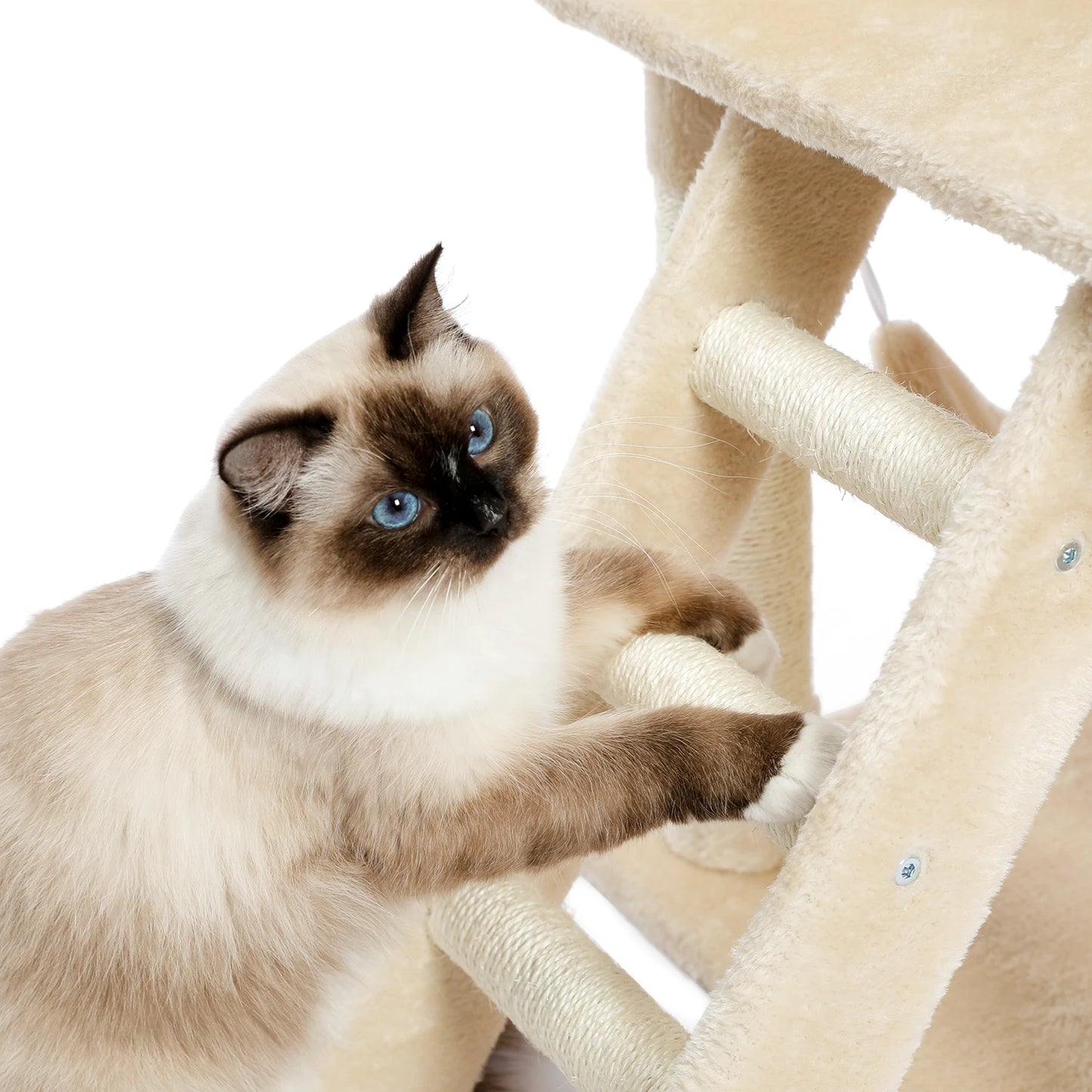 Pet Cat Tree House Condo Perch Entertainment Playground Stable Furniture for Kitten Multi-Level Tower for Large Cat Cozy Hommock
