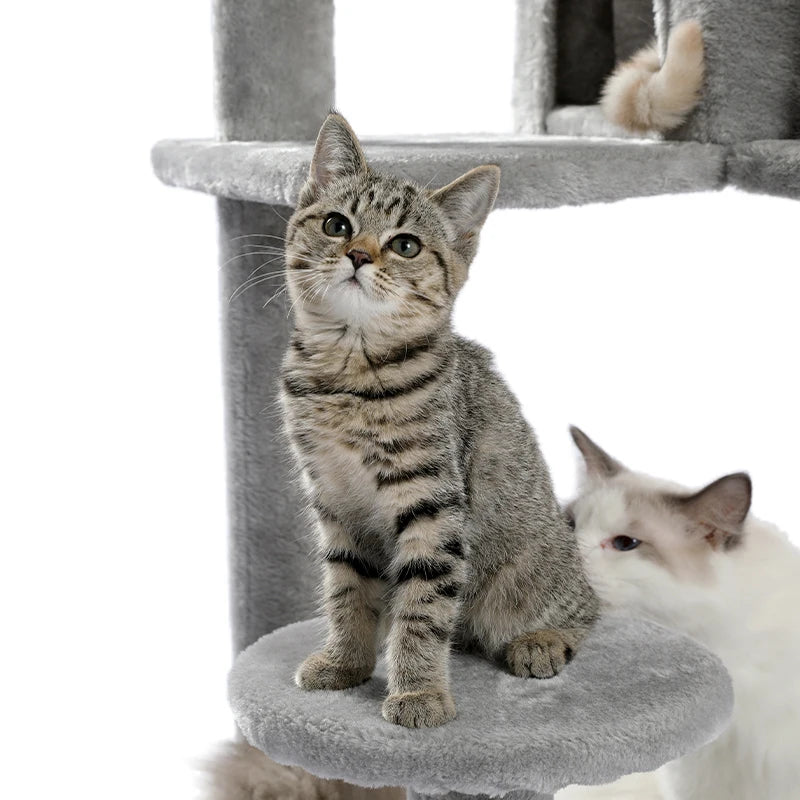 Pet Cat Tree House Condo Perch Entertainment Playground Stable Furniture for Kitten Multi-Level Tower for Large Cat Cozy Hommock