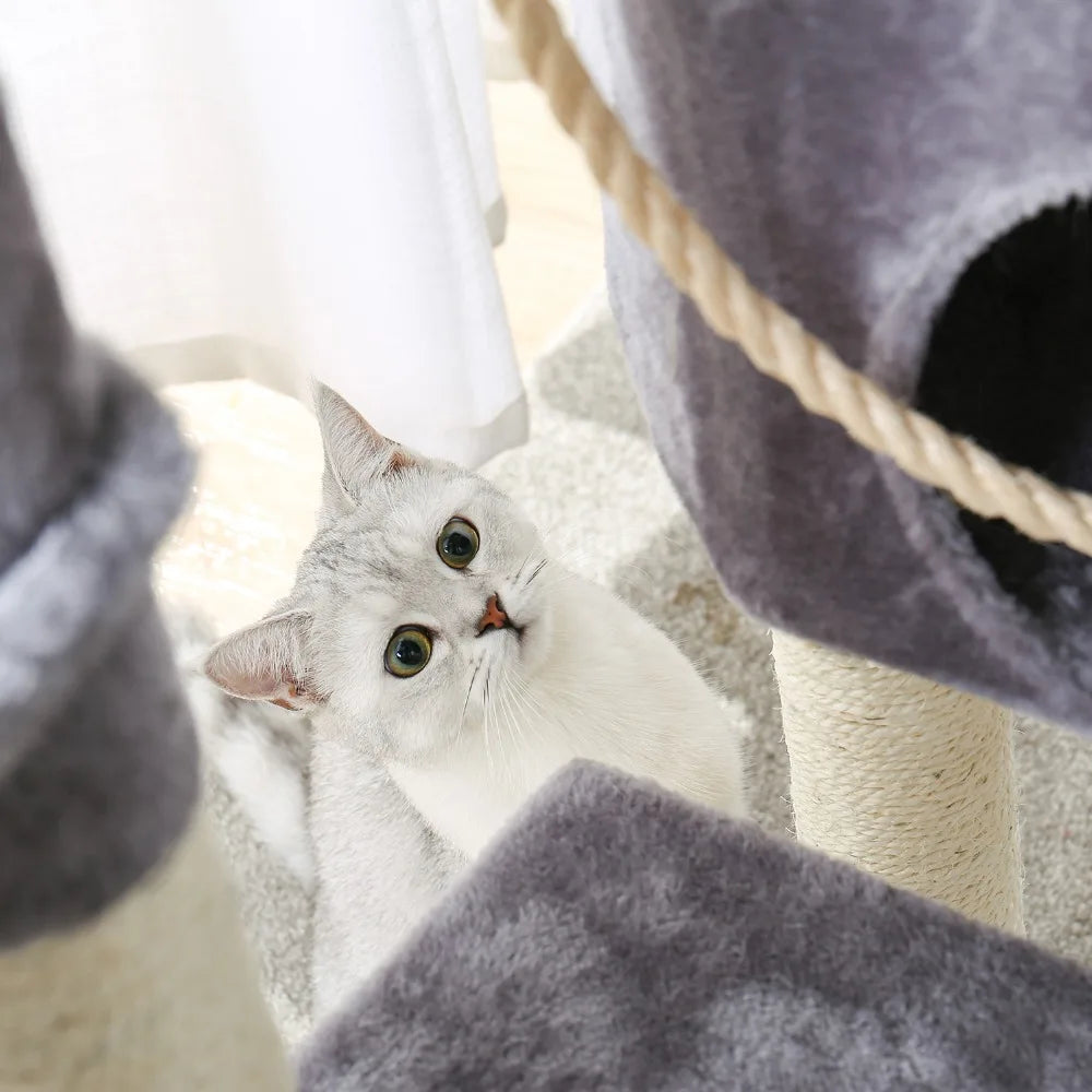 Pet Cat Tree House Condo Perch Entertainment Playground Stable Furniture for Kitten Multi-Level Tower for Large Cat Cozy Hommock