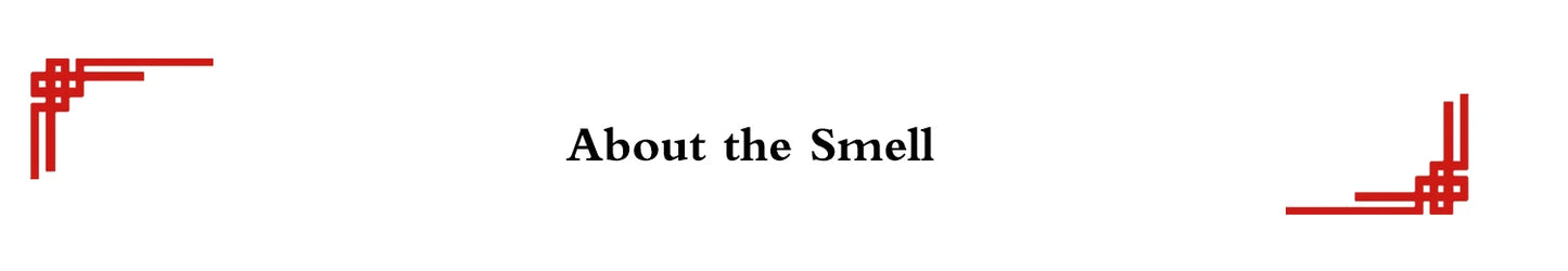 Professional Handmade Makeup Brushes Kit Soft Blue Squirrel Goat Hair Eye Shadow Blending Brush Orange Handle Make Up Brush Set