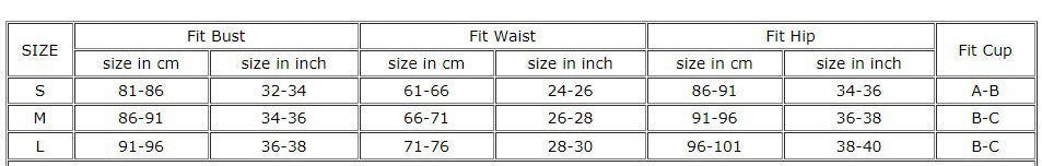 Embroidery Biquini Women Swimsuits Female Swimwear 2024 Micro Bikini Set Bathing Suit Swimming Suits Beachwear Push Up Bikinis