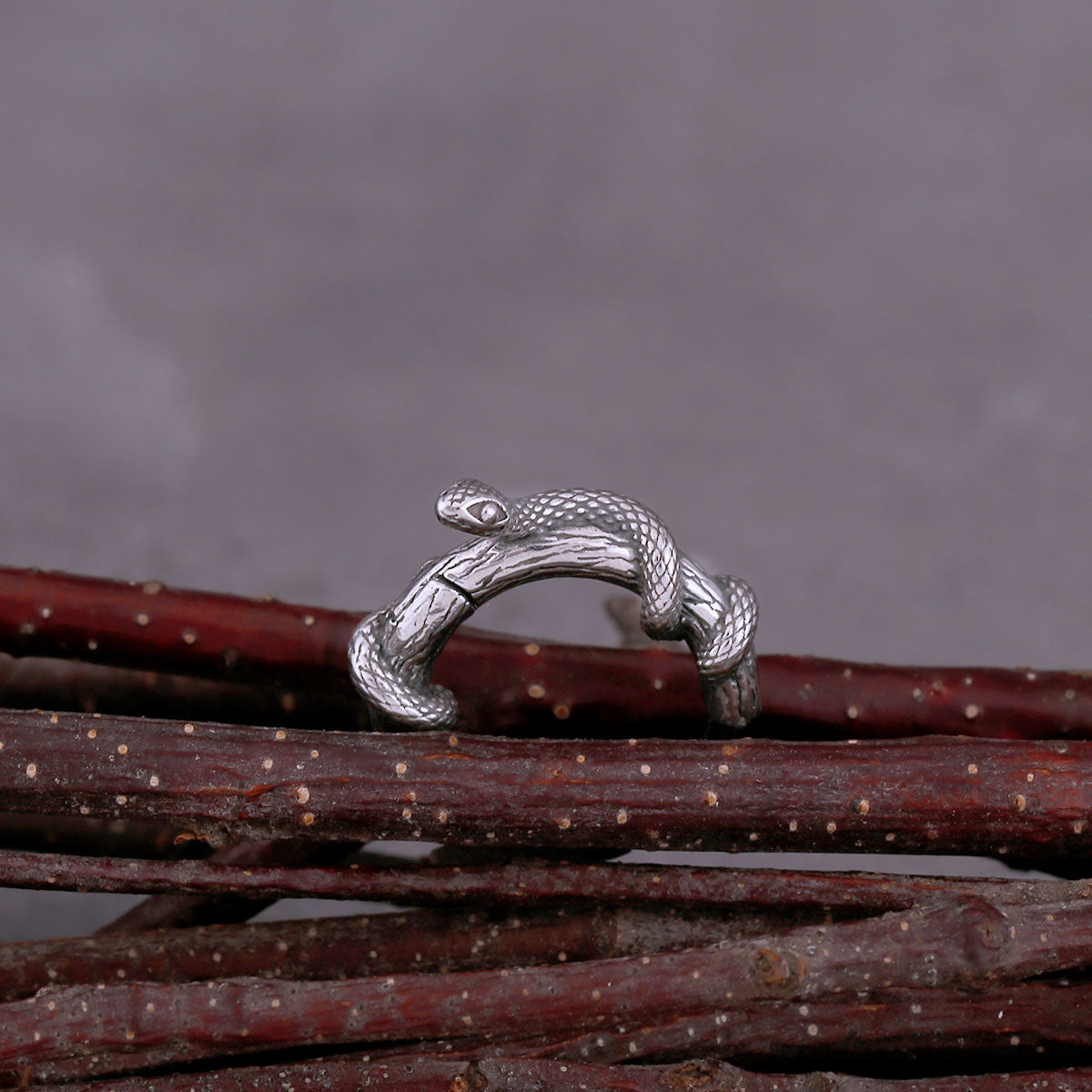 Original Design Winding Small Snake Earrings Viking High-quality Stainless Steel Earrings Accessories Jewelry for Men and Women