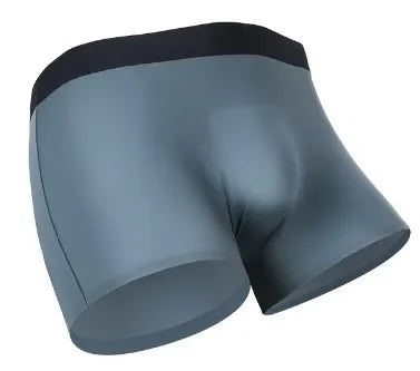 Mens Total Support Pouch Boxers Briefs Light Weight Silky Cooling Moisture Wicking Underwear Soft Elastic Waistband Underpants