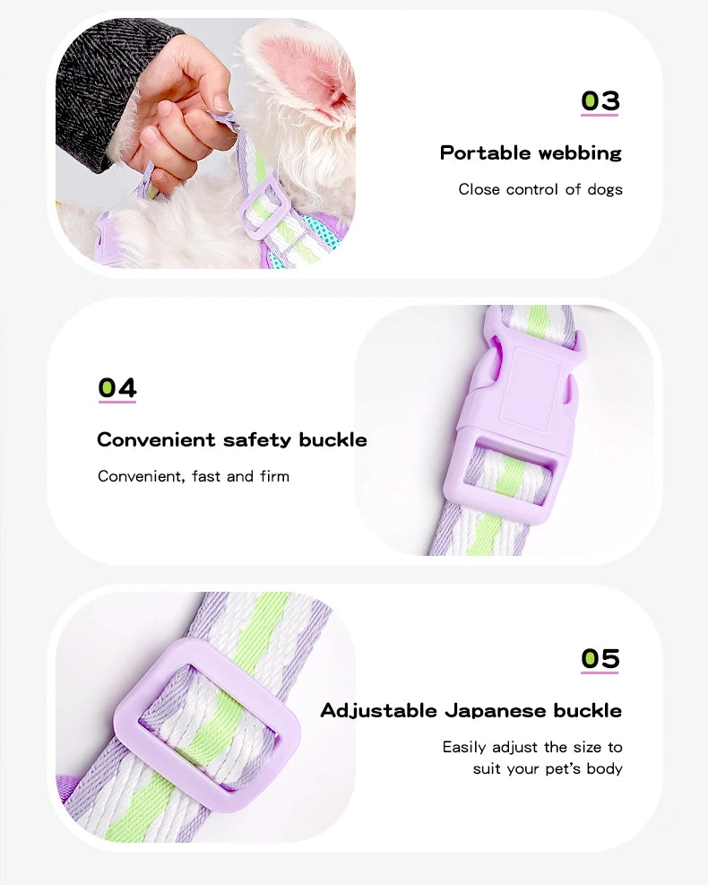 Dopamine Dog Harness and Leash Set Lightweight Breathable Color Block Pet Vest for Small Medium Dogs Outdoor Walking