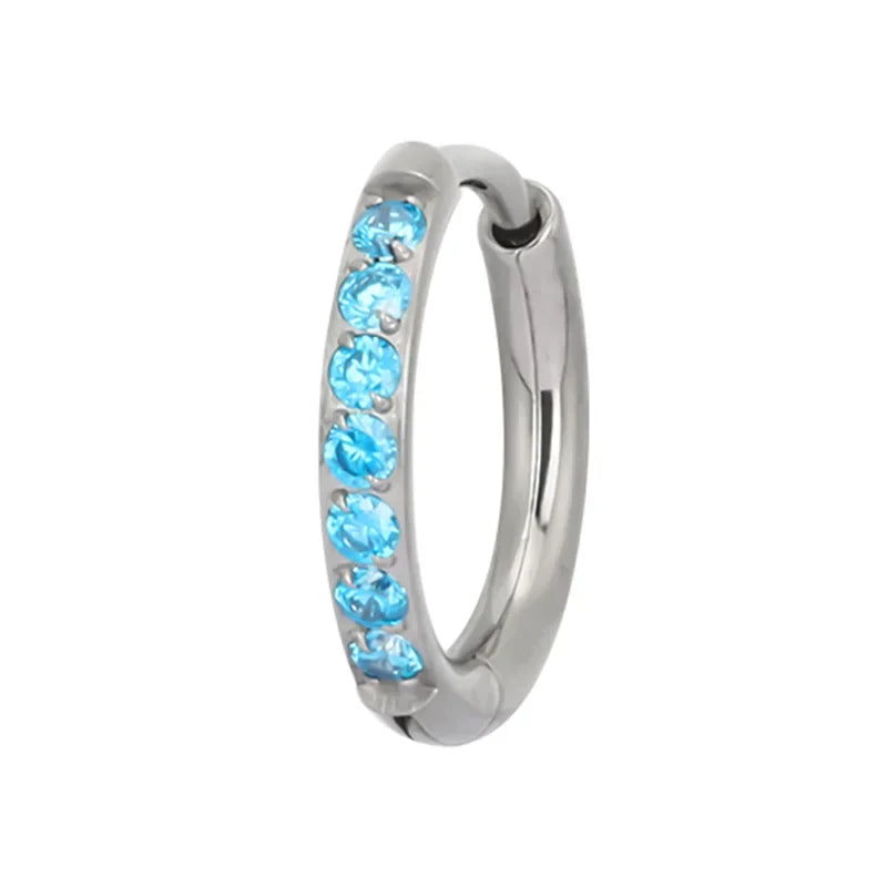 ASTM F136 Titanium PIERC Nose Ring Ear Tragus Hinged Segment Clicke Hoop CZ Paved Side Earring Large Size 8mm-14mm Body Piercing