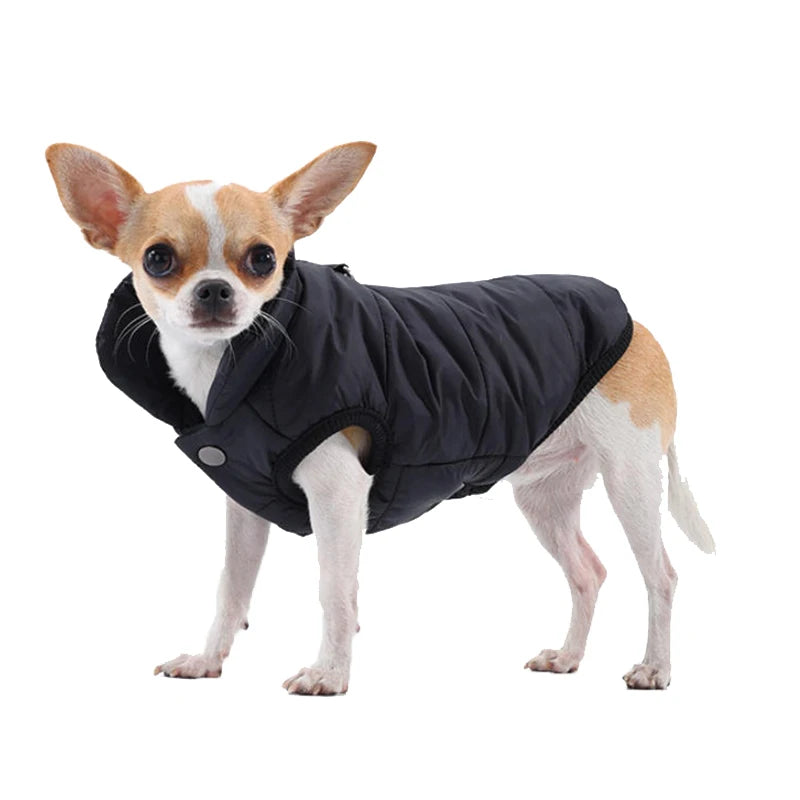 Winter Warm Dog Coat Jacket Windproof Pet Clothes for Small Medium Dogs Cat Padded Clothing Chihuahua Clothes Pet Supplies