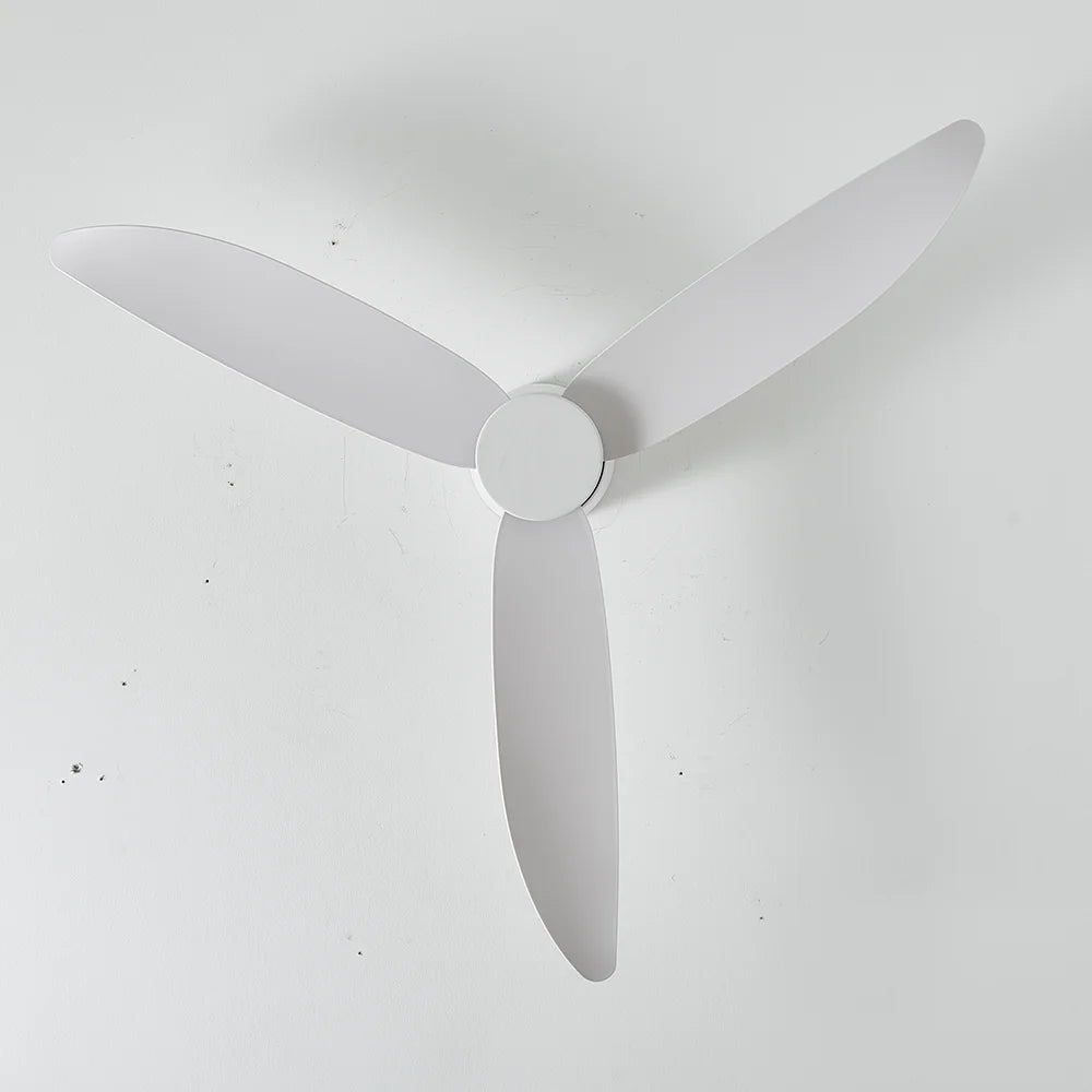 Ceiling Fan No Light 36 42 52 Inch DC Motor Remote Control Cooling Fans Lamp Low Floor Ceiling Fan White Black Color FAN