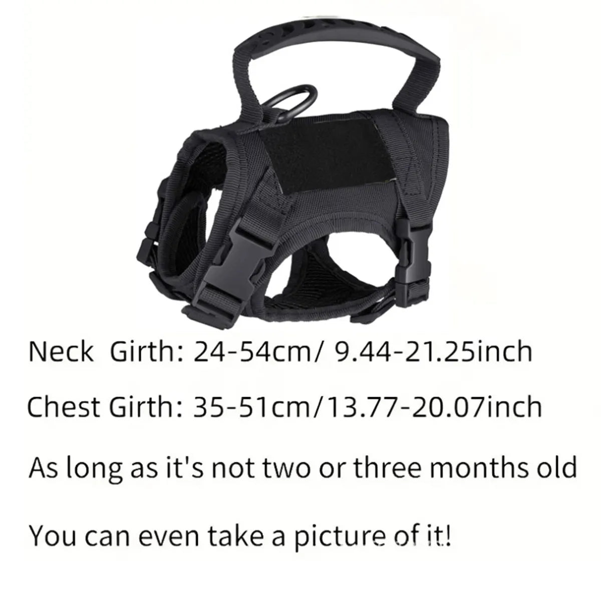 Khaki tactical cat chest harness vest type lead rope anti-break adjustable walking cat leash dog small dog chain one outfit