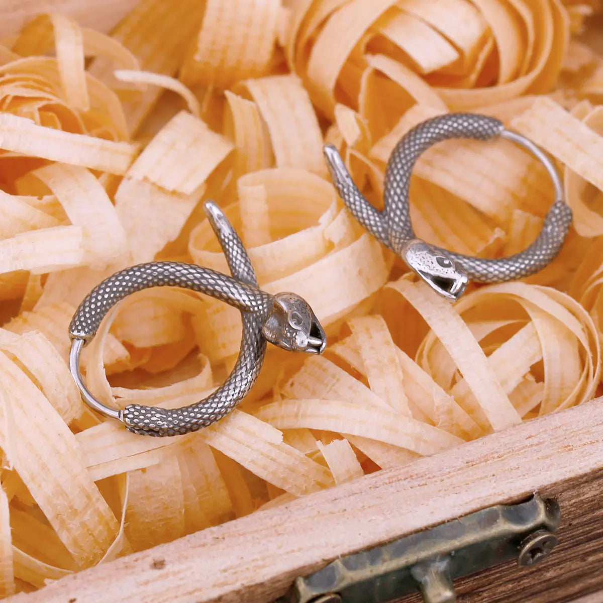 Fashion Viking Street Tail Snake Stainless Steel Earrings New Design Charm Men and Women Universal Earrings Hip-hop Punk Jewelry