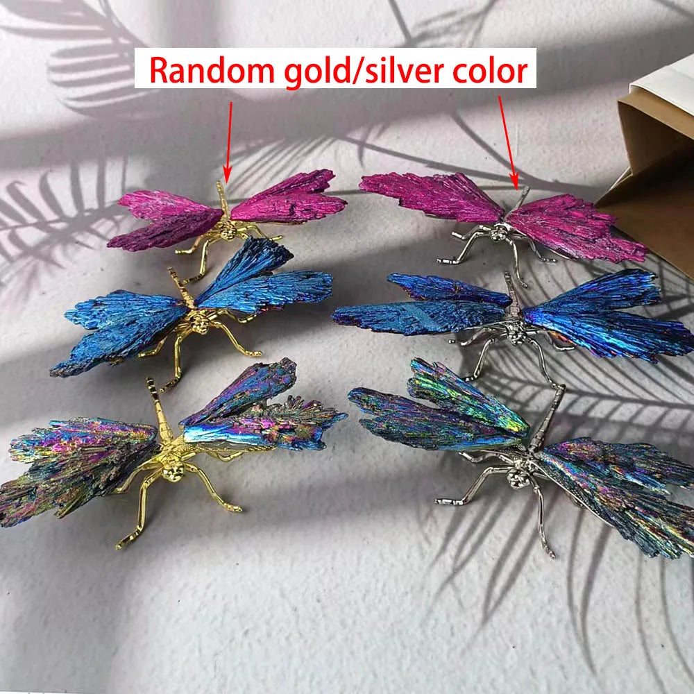 Rainbow Electroplated Black Tourmaline Kyanite Dragonfly Natural Crystal Aura Quartz Mineral For Home Decor Ornaments Gifts