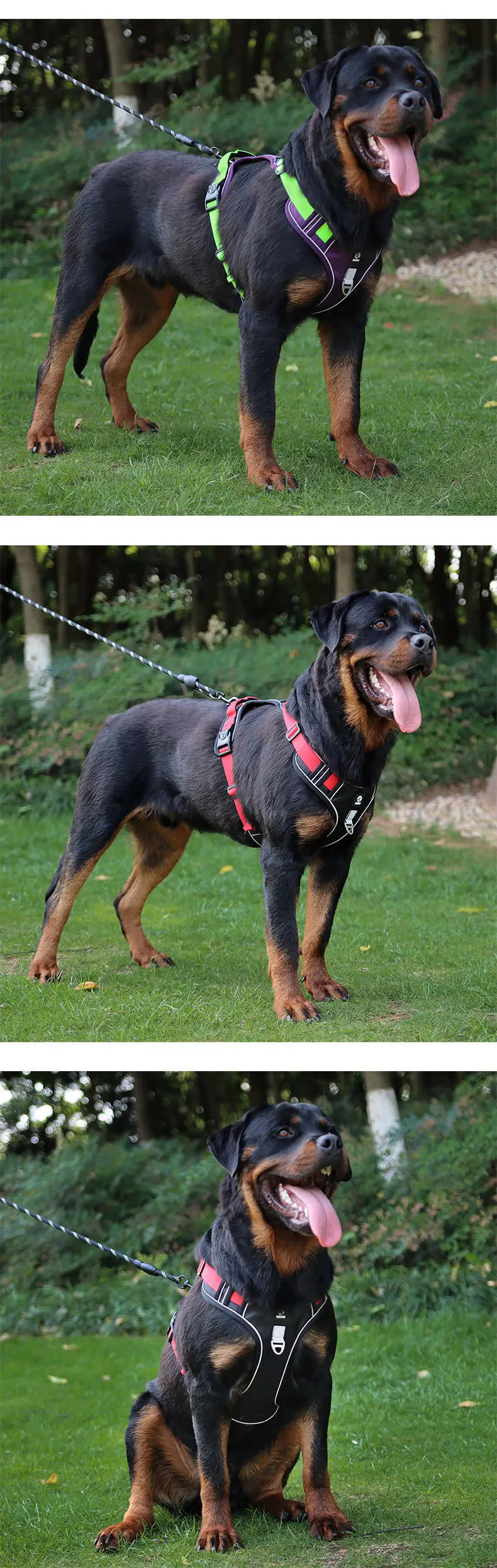 Durable Dog Harness Vest with Handle Explosionproof Pet Chest Strap Reflective Labrador Bulldog Walking Harness Dogs Accessories