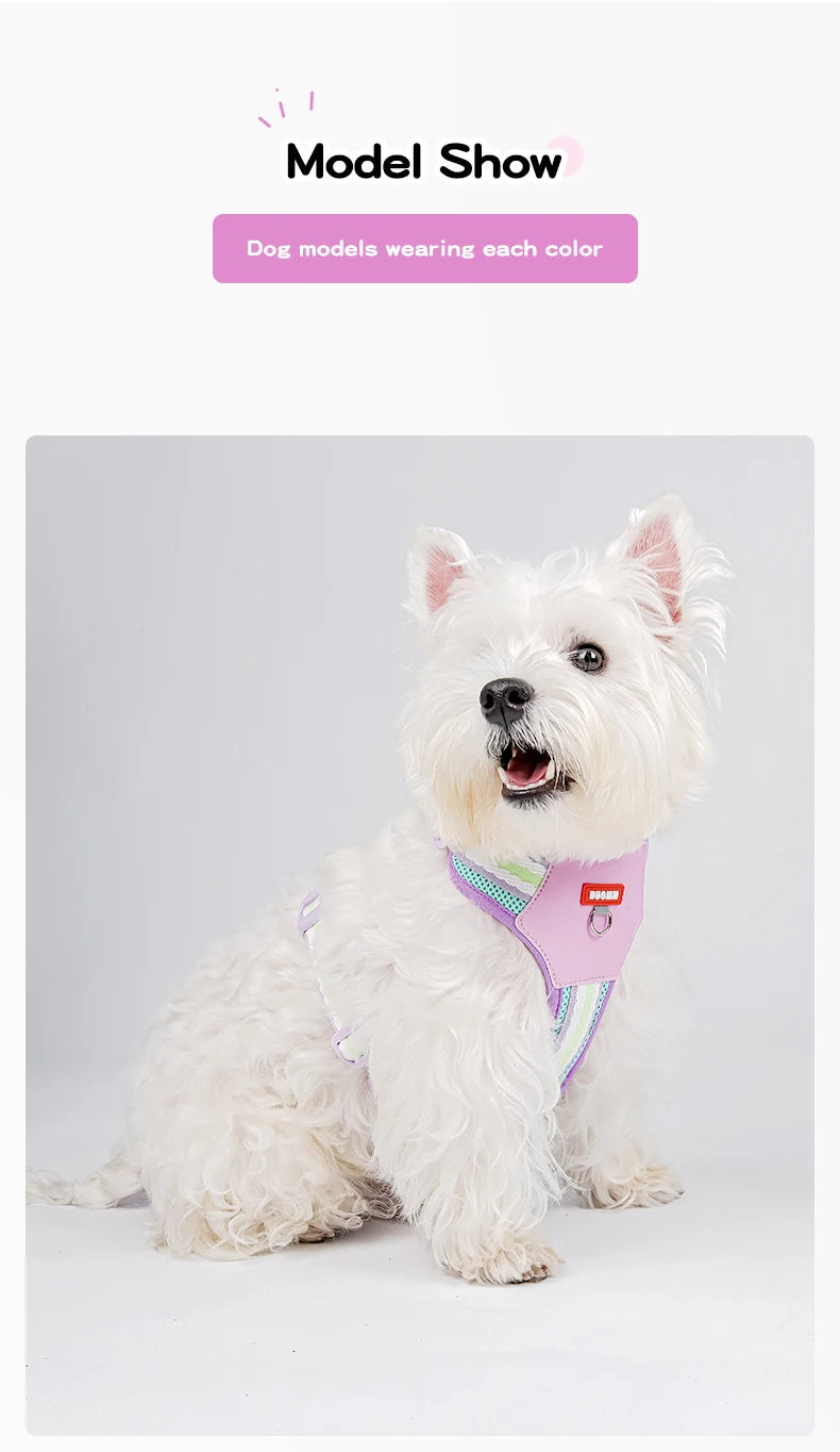 Dopamine Dog Harness and Leash Set Lightweight Breathable Color Block Pet Vest for Small Medium Dogs Outdoor Walking