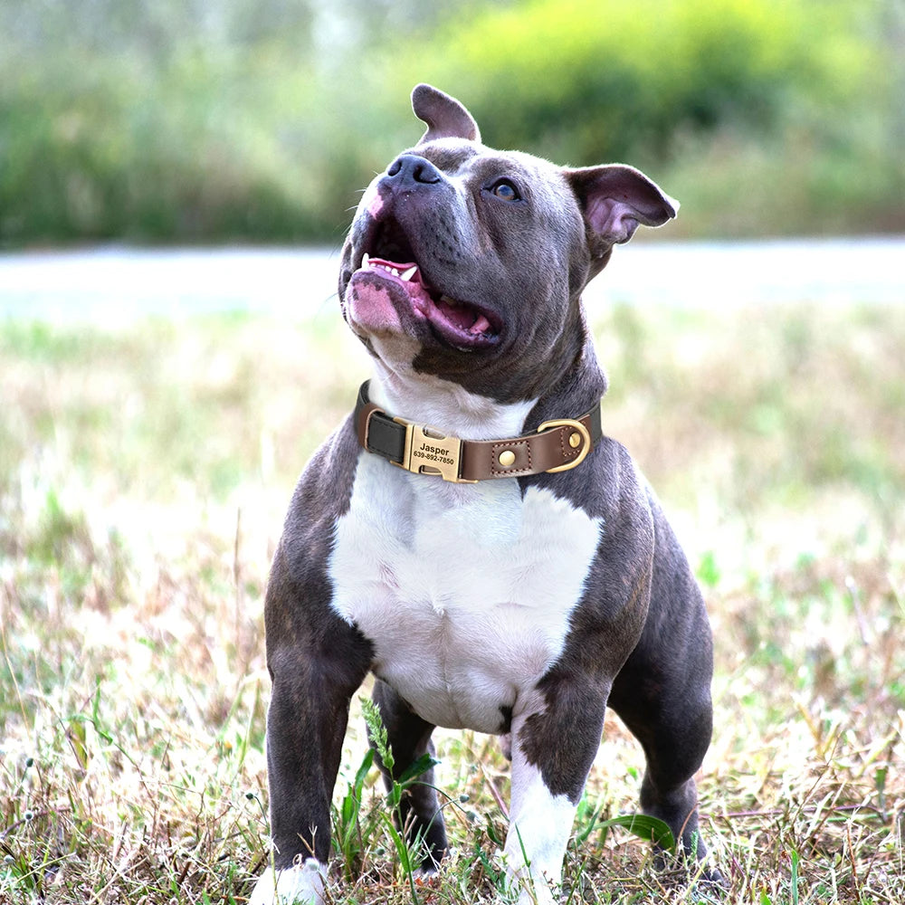 Free Custom PU Leather Dog Collar Engraved Dog Collars Adjustable Pet Buckle ID Necklace Durable for Small Medium Large Dogs Pug