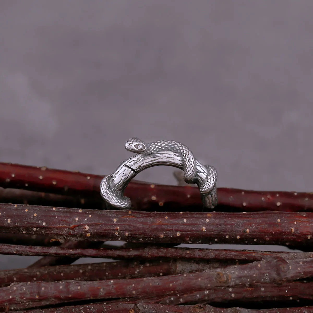 Original Design Winding Small Snake Earrings Viking High-quality Stainless Steel Earrings Accessories Jewelry for Men and Women