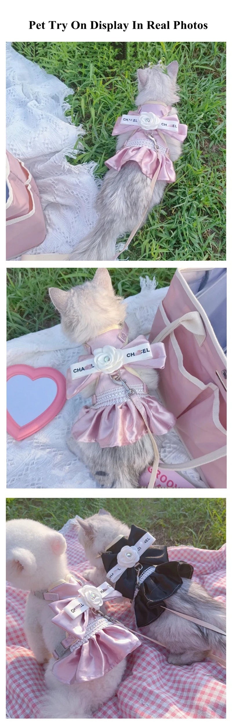 New Pet Cat Dog Traction Suit Fashion Luxury Flowers Bow lace Chest Back Traction Rope Advanced Flower Clothes Dog Walking Rope