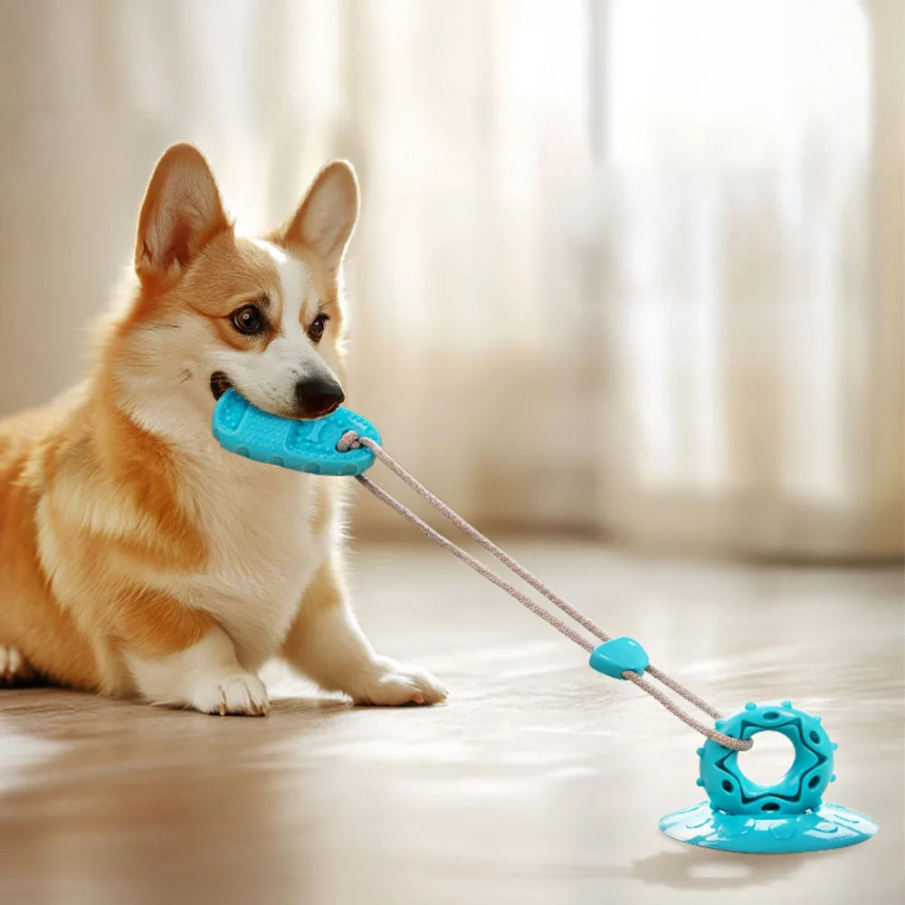Pet Supplies: Suction Cup Slipper Dog Toy - Bite-Resistant & Durable Chew Toy for Dogs