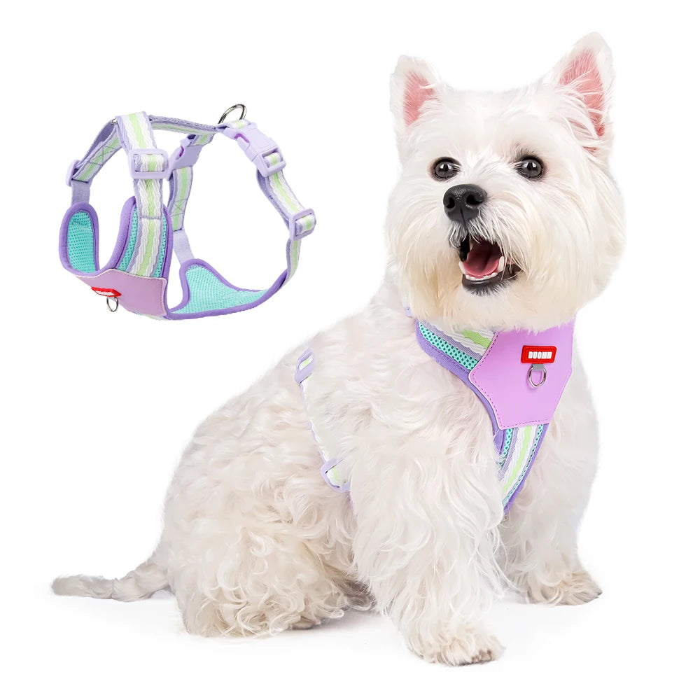 Dopamine Dog Harness and Leash Set Lightweight Breathable Color Block Pet Vest for Small Medium Dogs Outdoor Walking