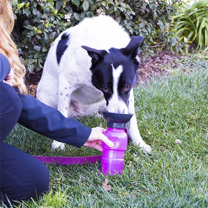 Portable Plastic Pet Water Feeder Pressing Car Carry Pet Bowl Water Feeding Kettle Dog Cat Outdoor Travel water bottle Container