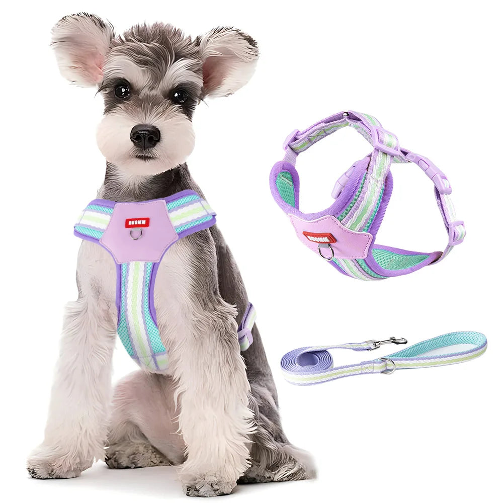 Dopamine Dog Harness and Leash Set Lightweight Breathable Color Block Pet Vest for Small Medium Dogs Outdoor Walking