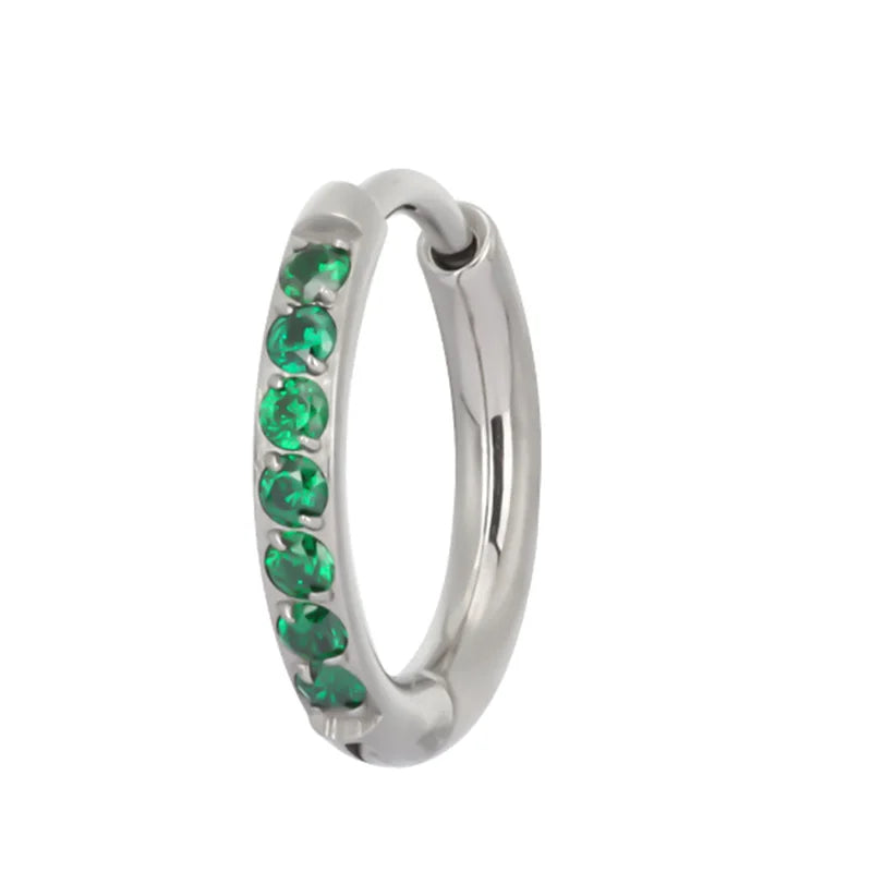 ASTM F136 Titanium PIERC Nose Ring Ear Tragus Hinged Segment Clicke Hoop CZ Paved Side Earring Large Size 8mm-14mm Body Piercing