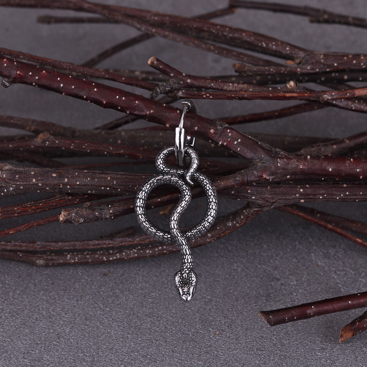 Punk Twisted Snake Street Tail Snake Earrings for Men and Women Party Earrings Glamorous Everyday Gifts Stainless Steel Jewelry