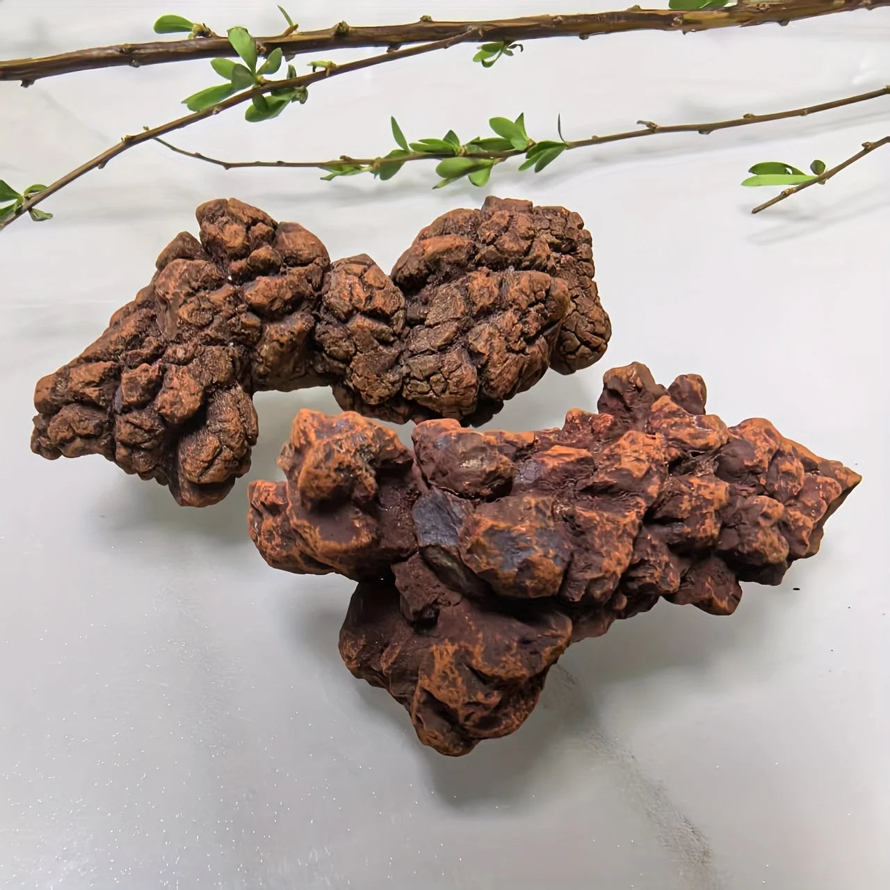 1PC rDinosaur Shit Stone Pet House Decoration, suitable for home and office decoration, a perfect gift for Halloween