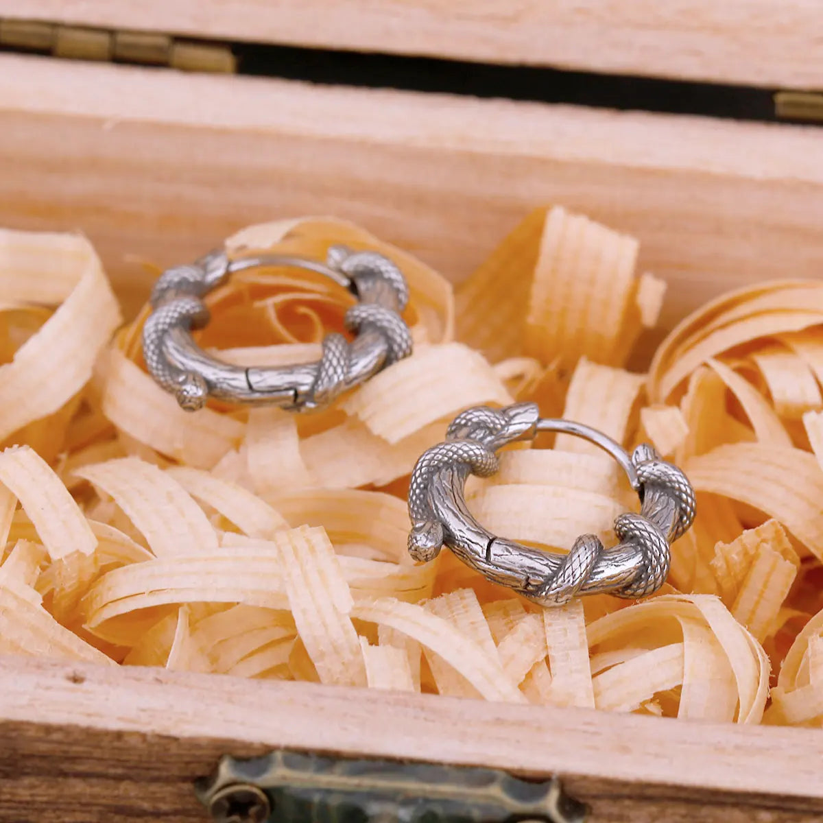 Original Design Winding Small Snake Earrings Viking High-quality Stainless Steel Earrings Accessories Jewelry for Men and Women