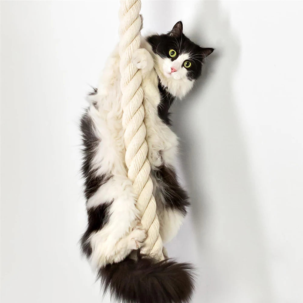 Cat Climbing Shelf and Rope Tree Wall Mounted Scratching Post Sisal Rope Lounging Interactive Play Toys Gym for Indoor Cats