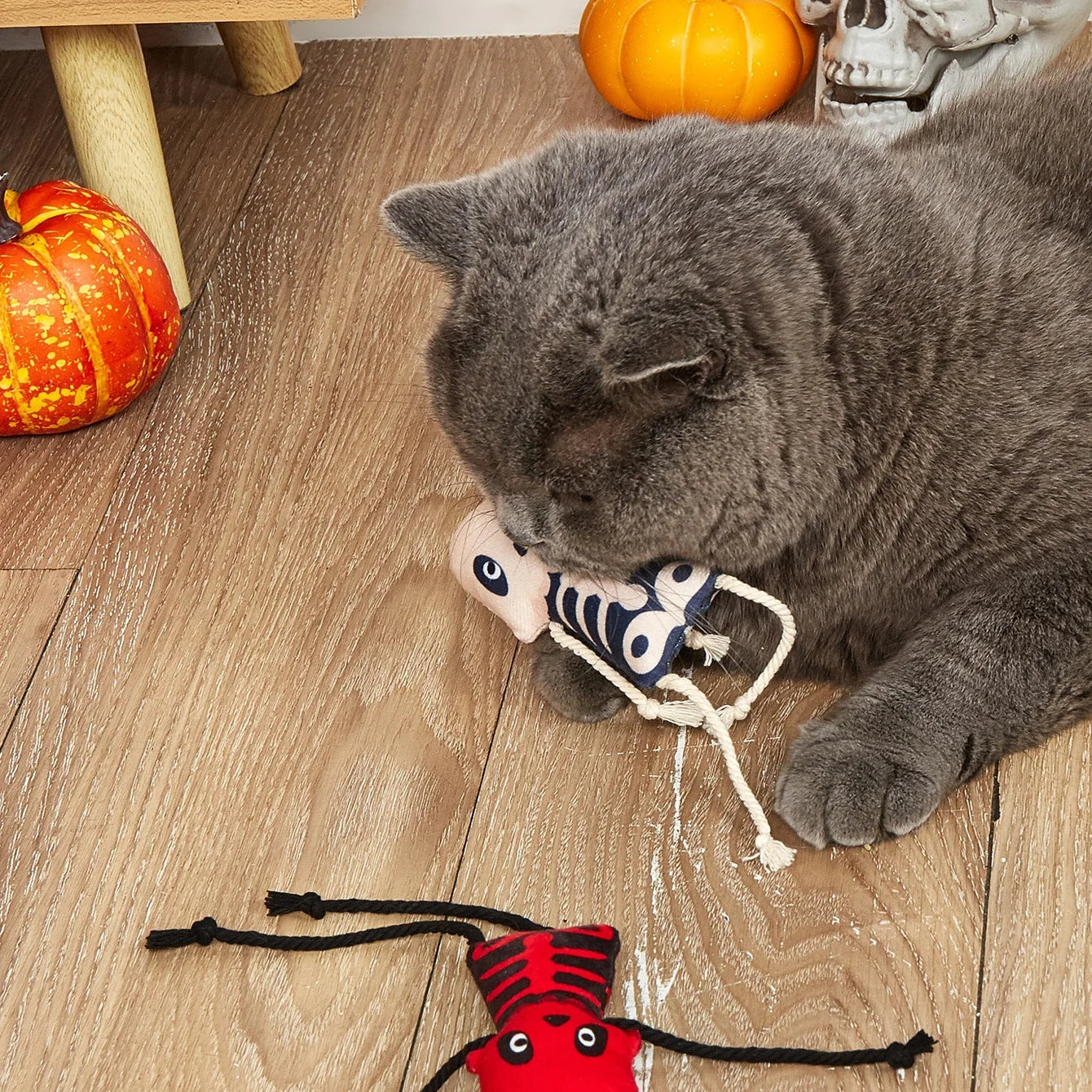 New Halloween Pet Toy with Catnip Inside Soft Durable Skull Plush Cat Toys Teeth Grinding Think Over Stress Relief Pet Supplies