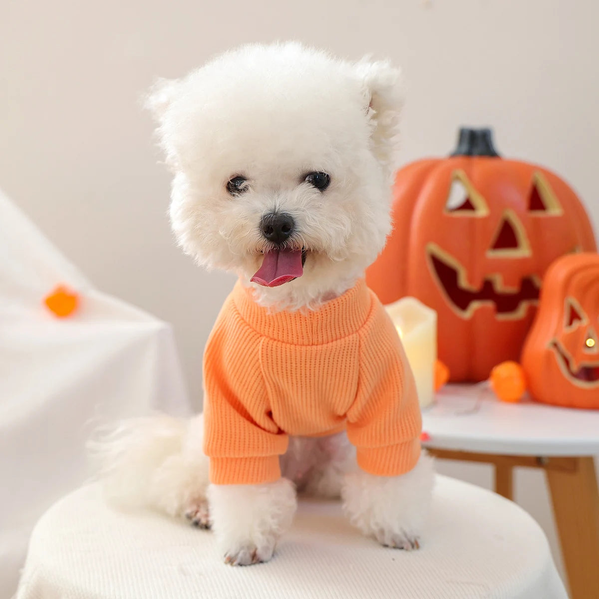 1PC Halloween Crew Neck Orange Pet Clothes Dog Crew Neck Pullover Sweater "BOO!" Cute Fun Party Trick or Treat