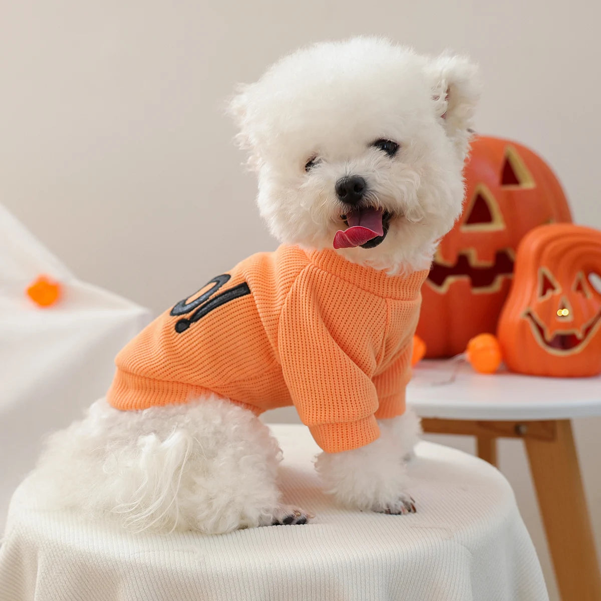 1PC Halloween Crew Neck Orange Pet Clothes Dog Crew Neck Pullover Sweater "BOO!" Cute Fun Party Trick or Treat