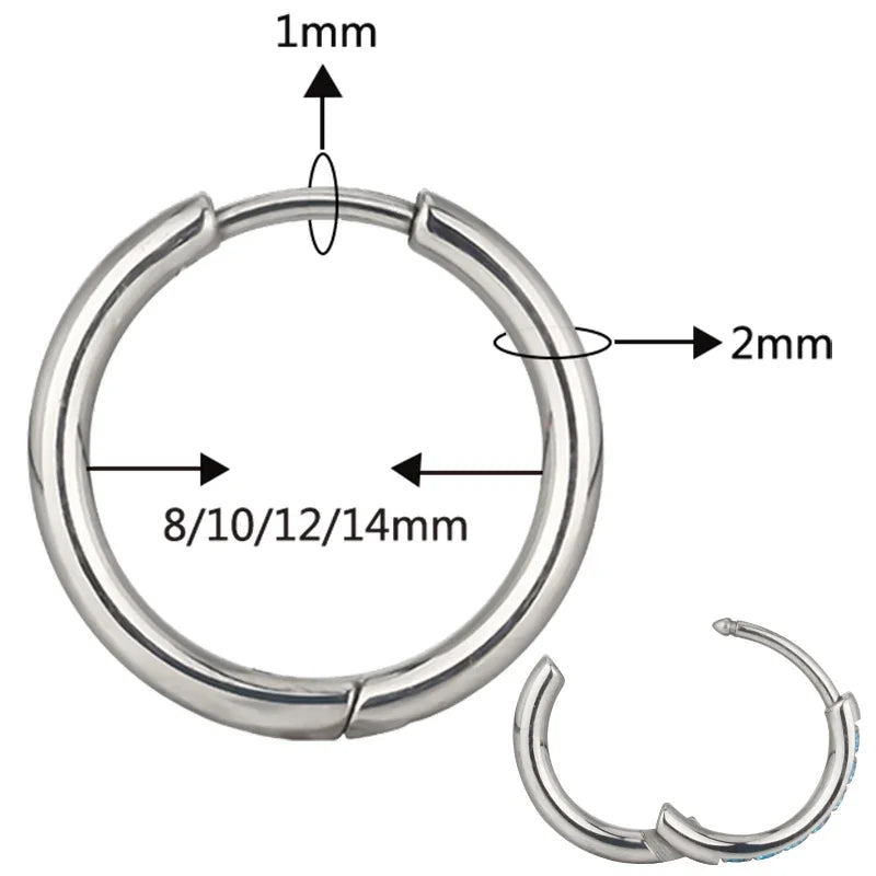 ASTM F136 Titanium PIERC Nose Ring Ear Tragus Hinged Segment Clicke Hoop CZ Paved Side Earring Large Size 8mm-14mm Body Piercing