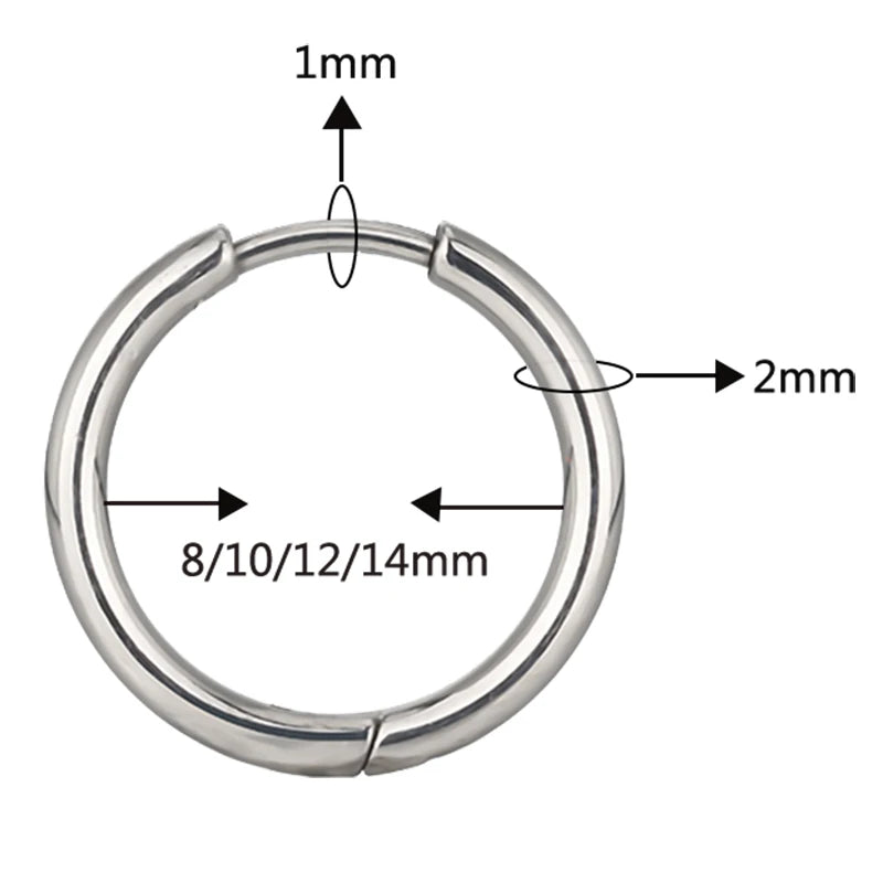 ASTM F136 Titanium PIERC Nose Ring Ear Tragus Hinged Segment Clicke Hoop CZ Paved Side Earring Large Size 8mm-14mm Body Piercing