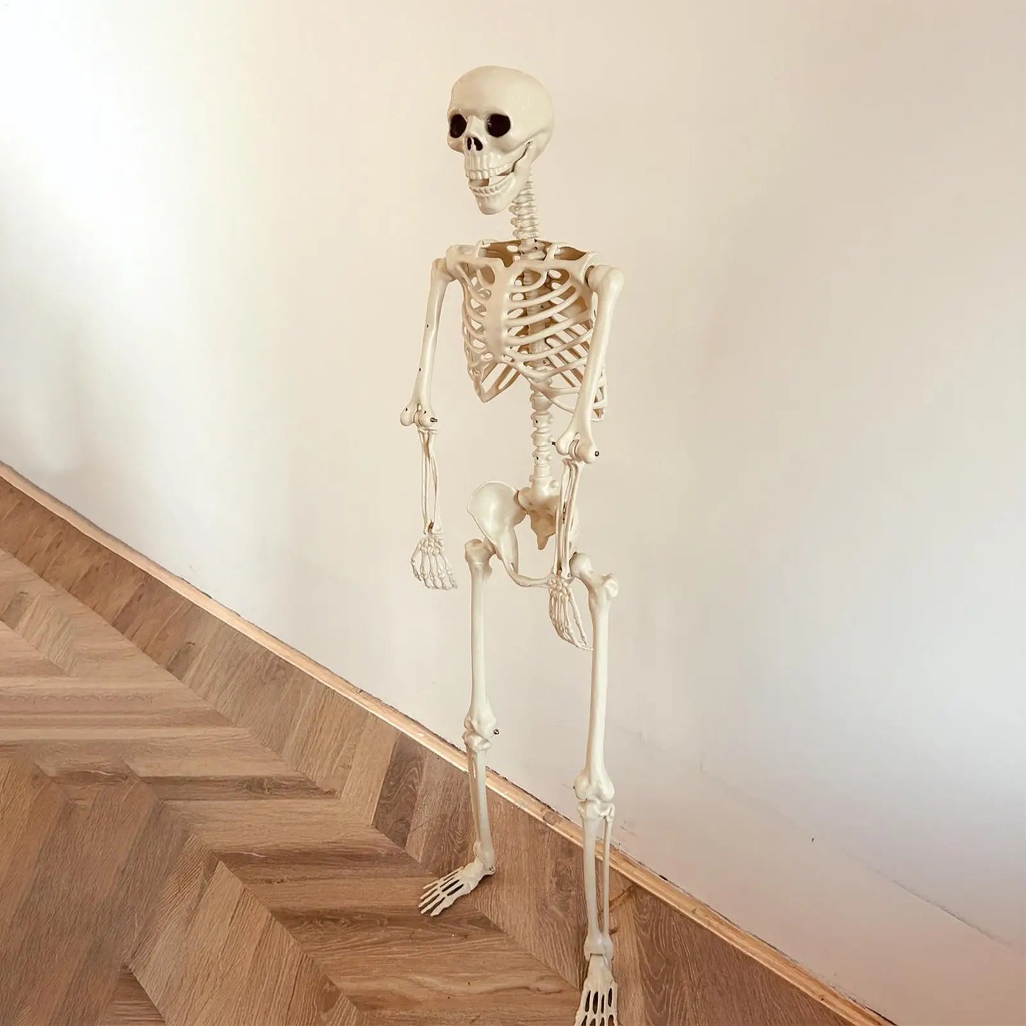 Halloween Skeleton Realistic Posable Skeleton with Movable Joints Weather-Resistant Outdoor Decorations Spooky Photo Props Party