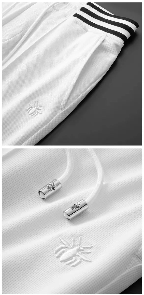 High end fashionable embroidered striped casual men's pants for the summer of 2024 new waffle ice silk comfortable sports pants