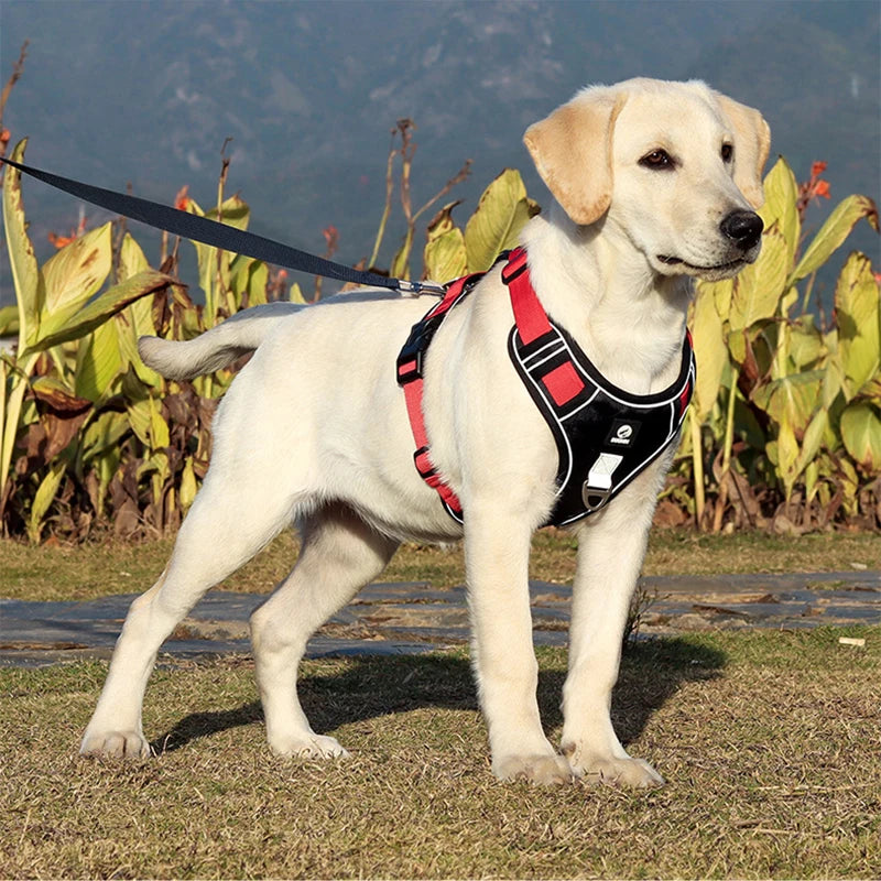 Durable Dog Harness Vest with Handle Explosionproof Pet Chest Strap Reflective Labrador Bulldog Walking Harness Dogs Accessories