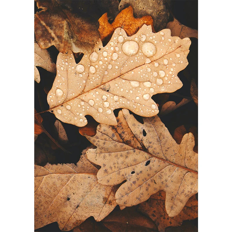 Autumn Yellow Leaves Fall View Landscape Wall Art Print Canvas Painting Pumpkin Halloween Poster Picture Living Room Home Decor