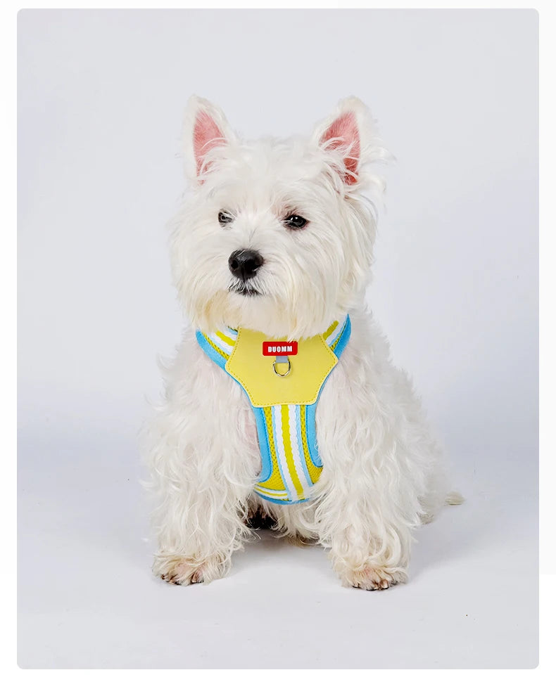 Dopamine Dog Harness and Leash Set Lightweight Breathable Color Block Pet Vest for Small Medium Dogs Outdoor Walking